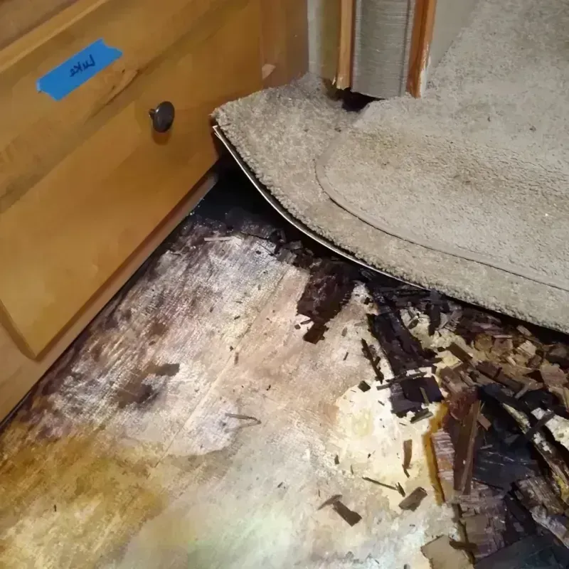 Wood Floor Water Damage in Beach City, TX